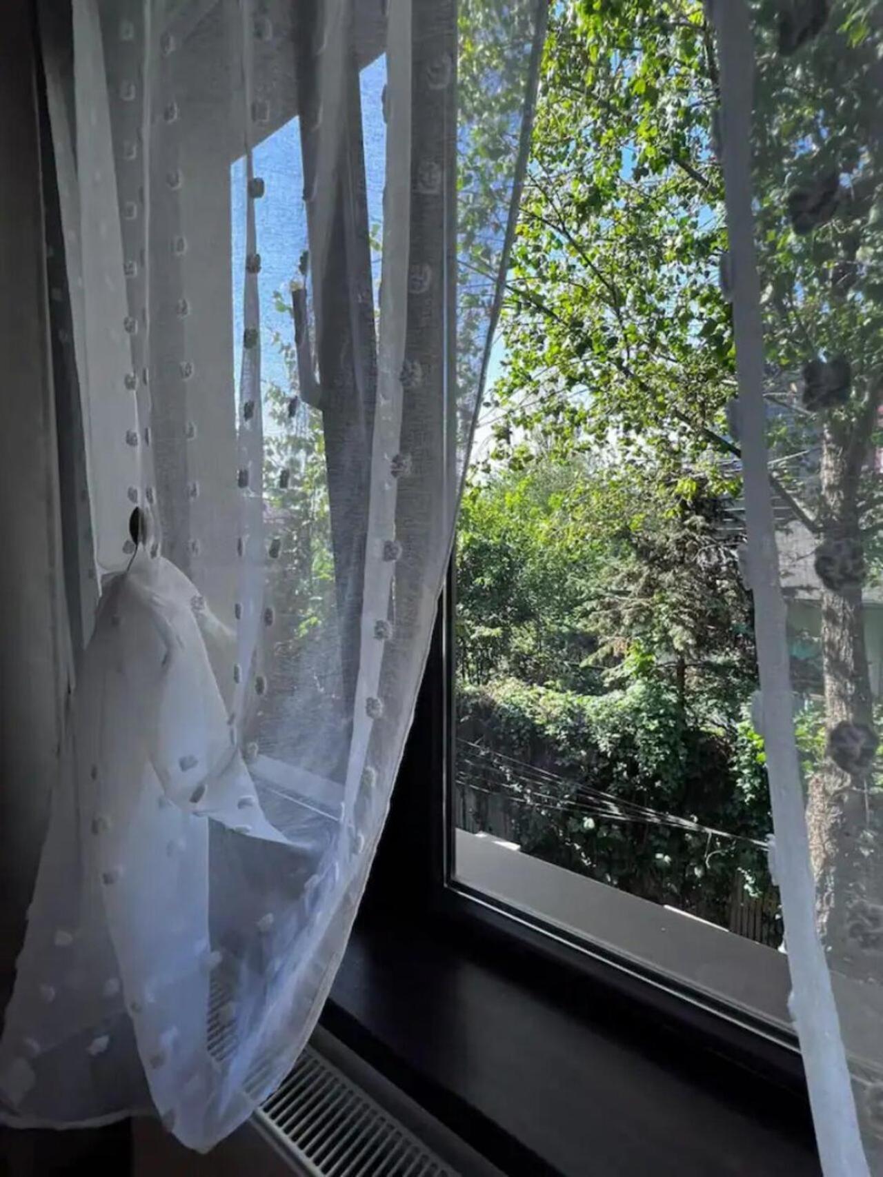 Vila Luminoasa Cu Curte Privata Бухарест Экстерьер фото